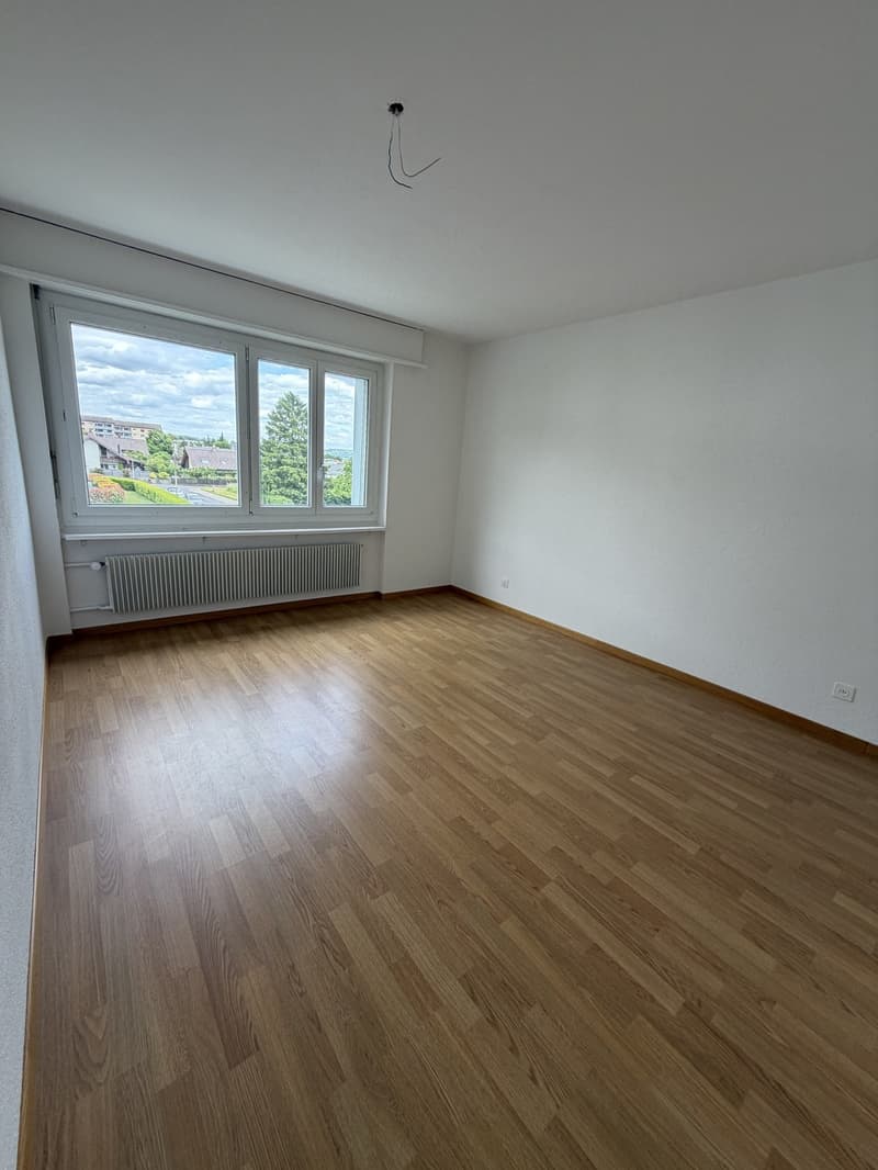 Cucina ristrutturata e bella vista, appartamento 3 locali spazioso al 2° piano (4)