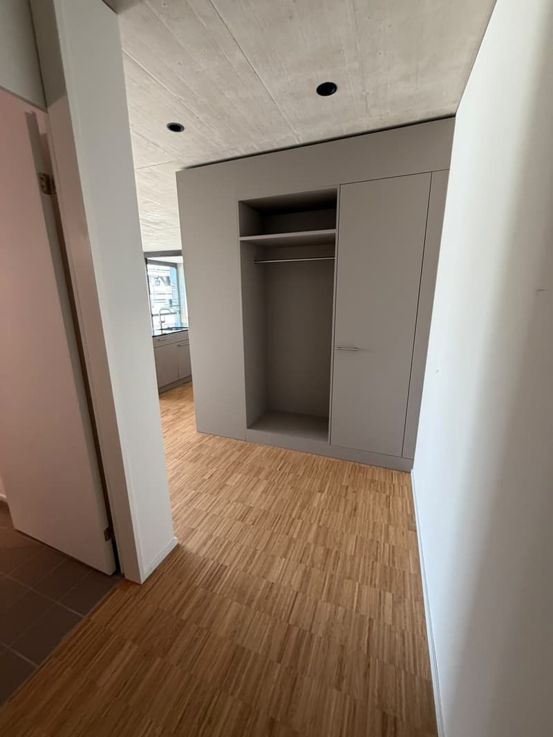 Appartamento 2.5 locali, 8964 Rudolfstetten (1)