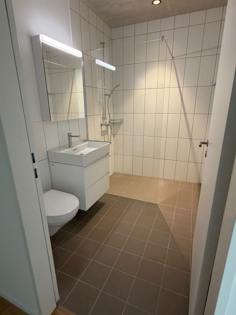 Appartamento 2.5 locali, 8964 Rudolfstetten (3)