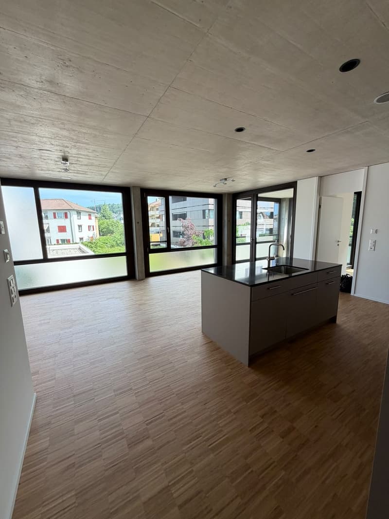 Appartamento 2.5 locali, 8964 Rudolfstetten (5)