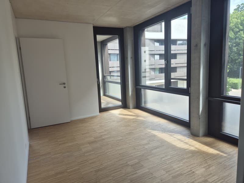 Appartamento 2.5 locali, 8964 Rudolfstetten (7)