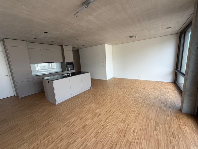 Appartamento 2.5 locali, 8964 Rudolfstetten (4)