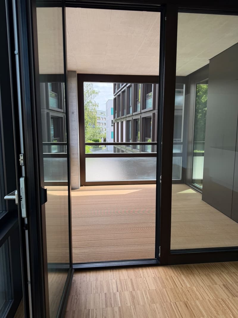 Appartamento 2.5 locali, 8964 Rudolfstetten (6)