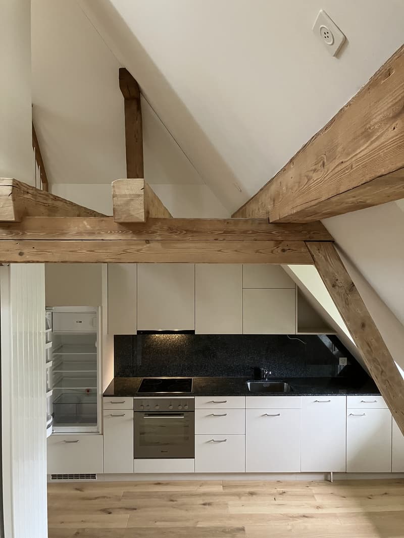 Nouvelle maisonnette à louer à Gsteig Burgdorf (1)