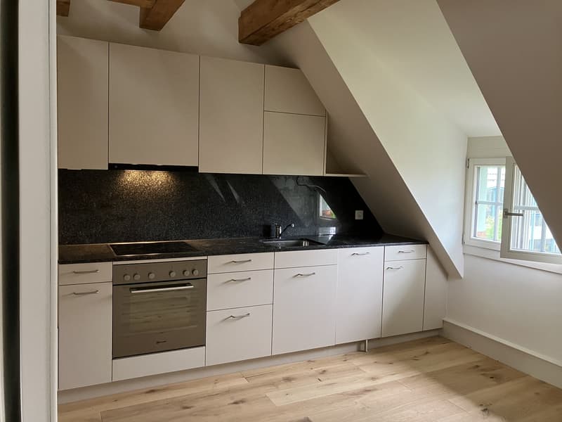 Nouvelle maisonnette à louer à Gsteig Burgdorf (3)