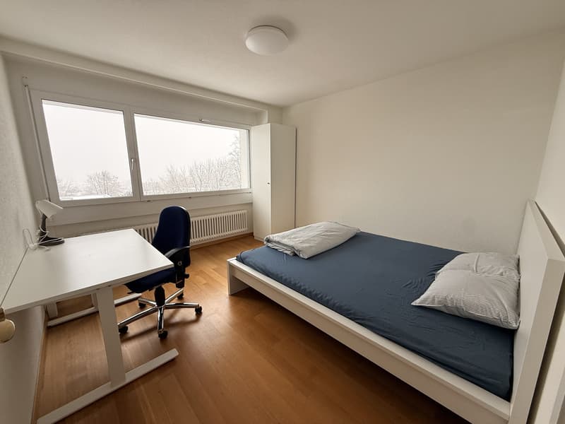 Cozy room in Zurich City (5)
