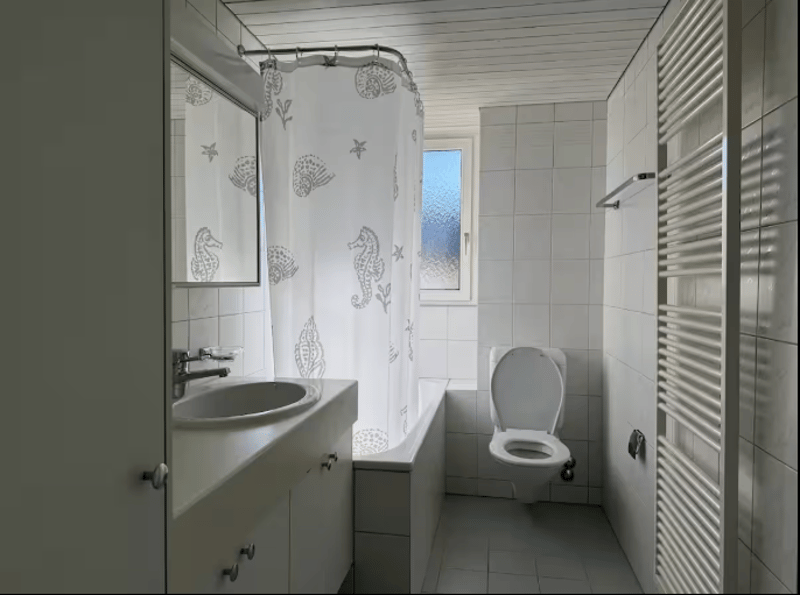 Cozy room in Zurich City (7)