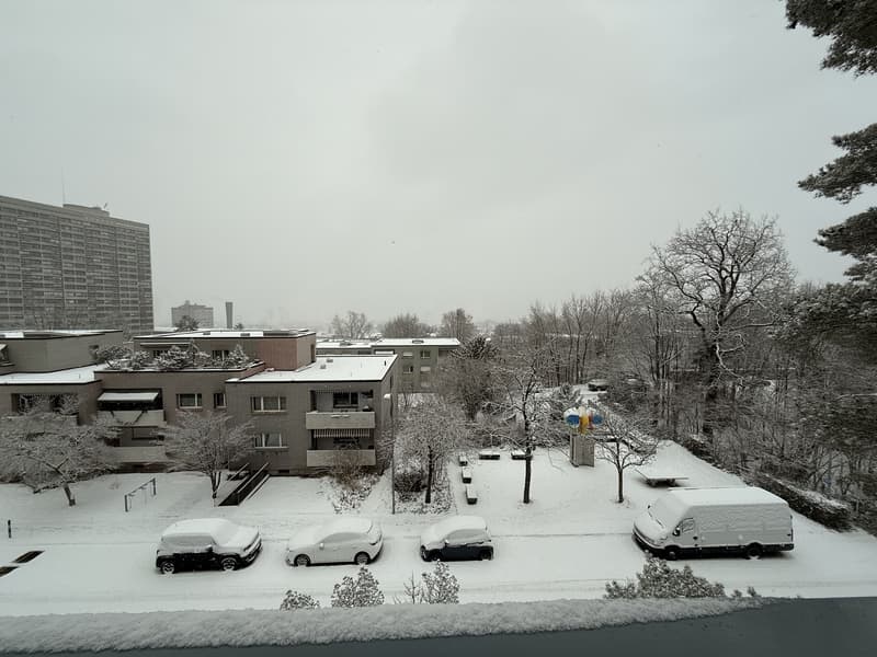 Cozy room in Zurich City (8)