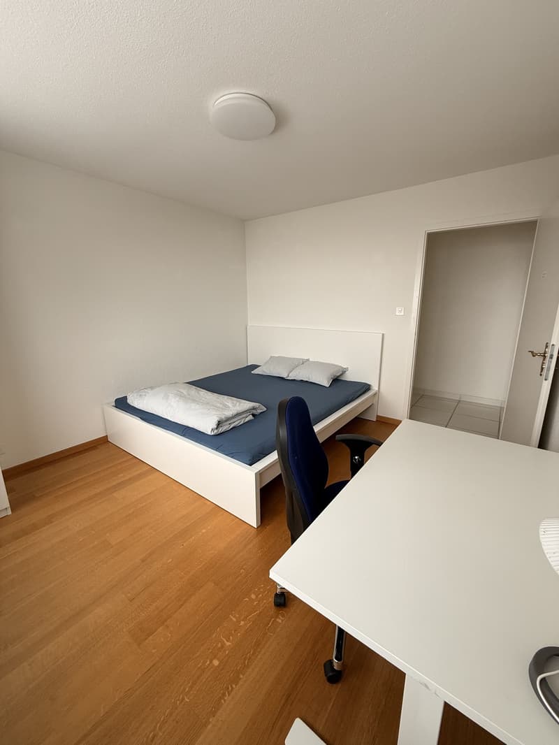 Cozy room in Zurich City (1)