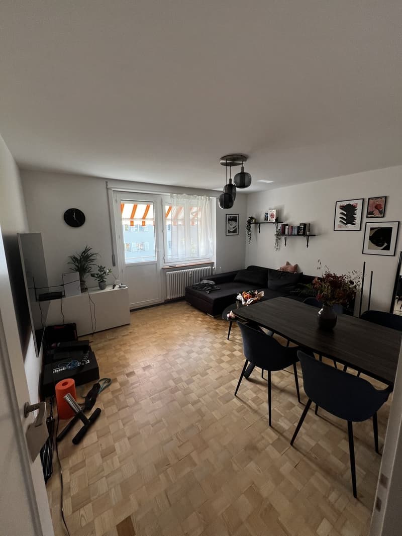 Cercasi inquilino per ampio appartamento di 3 locali (3)
