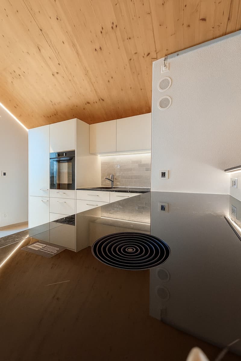 High-quality 3-room terrace apartment in loft style with a view in Rafz (8)