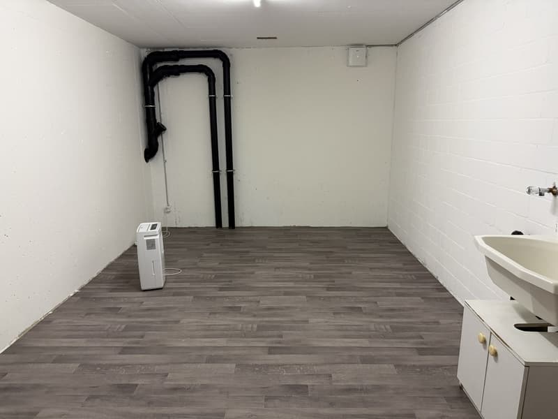 Appartement moderne, lumineux, calme et spacieux de 4,5 pièces à Brüttisellen (12)