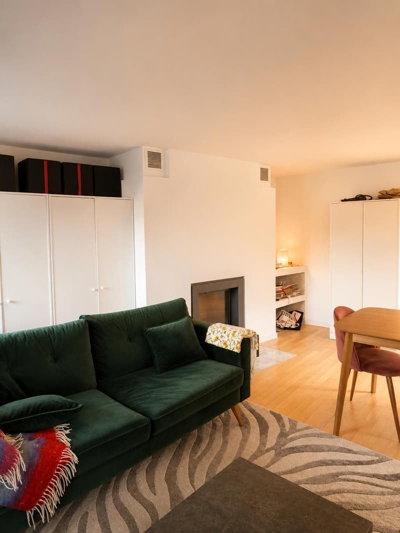 Duplex mansardé unique avec cheminée et vue sur la rivière à Zurich-Vieille Ville (2)