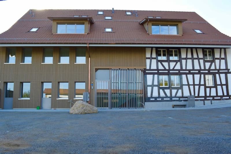 MFH Nordseite