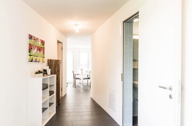 2 ½ rooms apartment, 8050 Zurich (2)