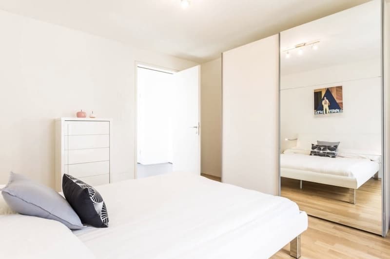 2 ½ rooms apartment, 8050 Zurich (7)