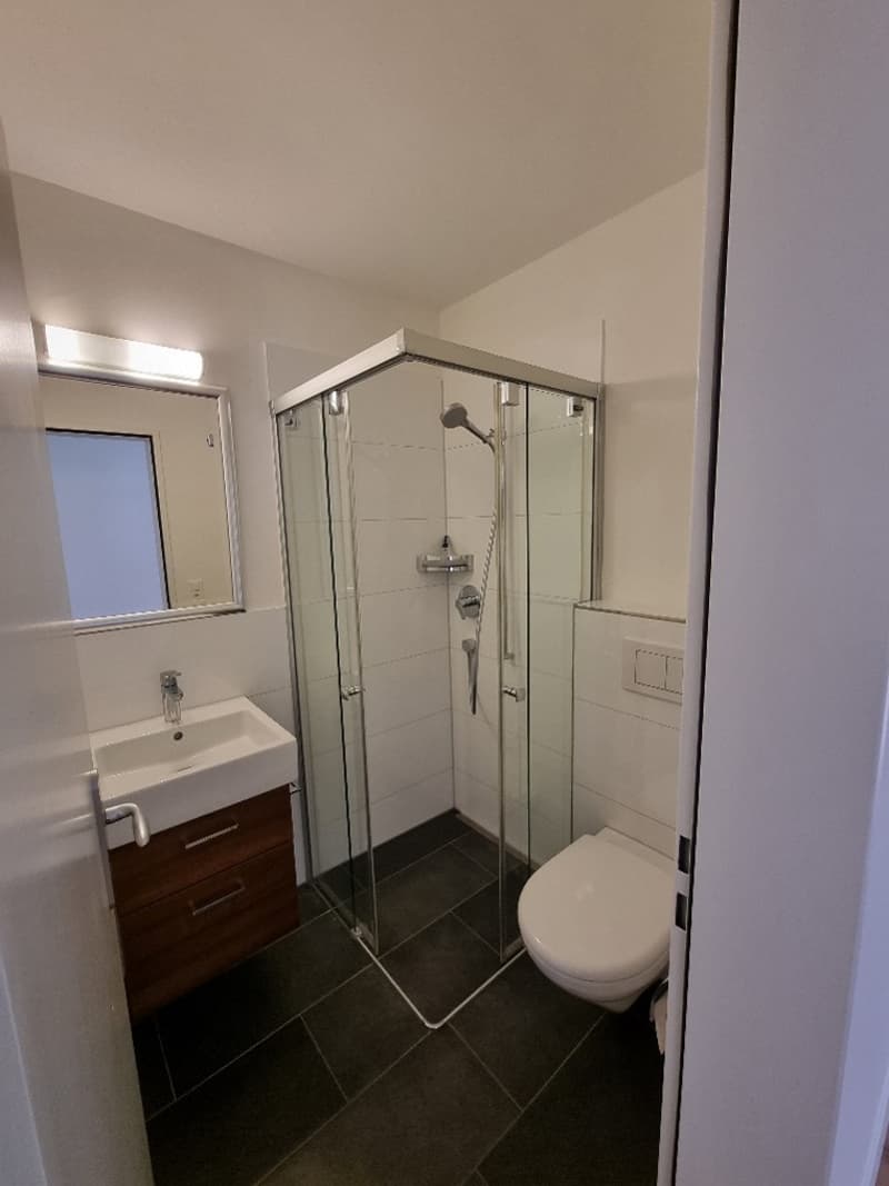 Appartement lumineux 4.5 pièces avec 2 places de garage, salle de loisirs et jardin à Thalwil (12)