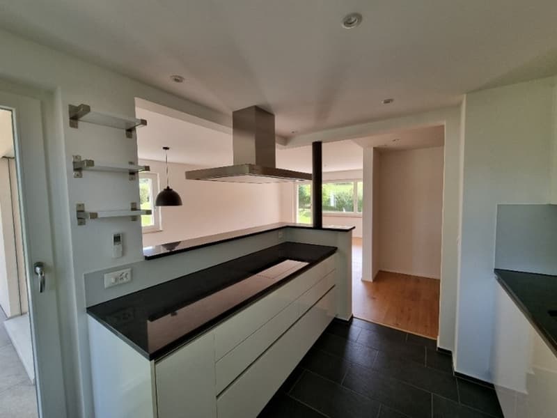 Appartement lumineux 4.5 pièces avec 2 places de garage, salle de loisirs et jardin à Thalwil (4)