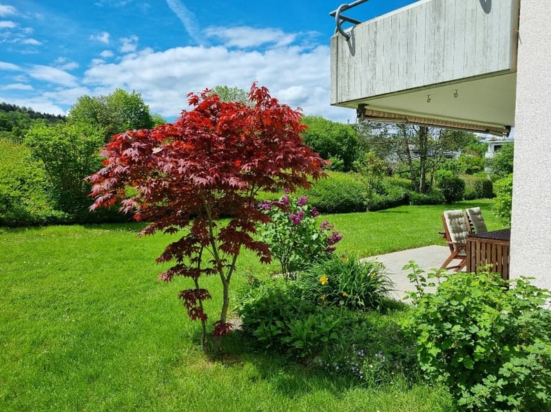 Appartement lumineux 4.5 pièces avec 2 places de garage, salle de loisirs et jardin à Thalwil (13)