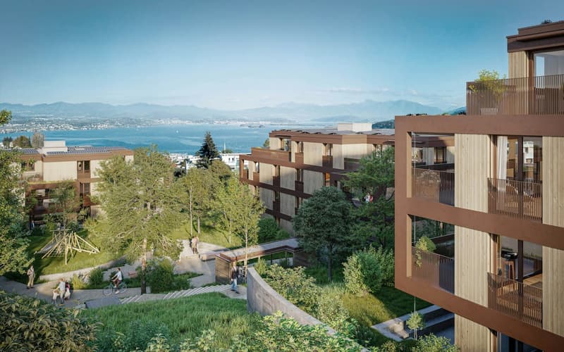 Nachmieter gesucht für helle grosse Wohnung mit See- und Bergsicht (6)