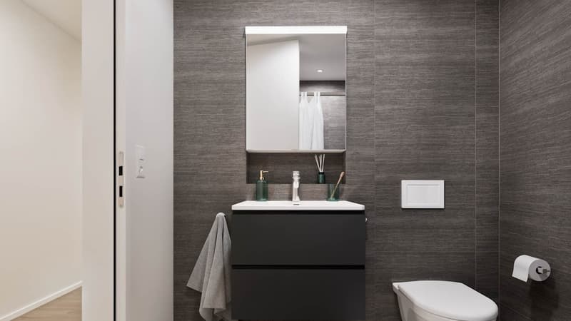Nachmieter gesucht für helle grosse Wohnung mit See- und Bergsicht (3)