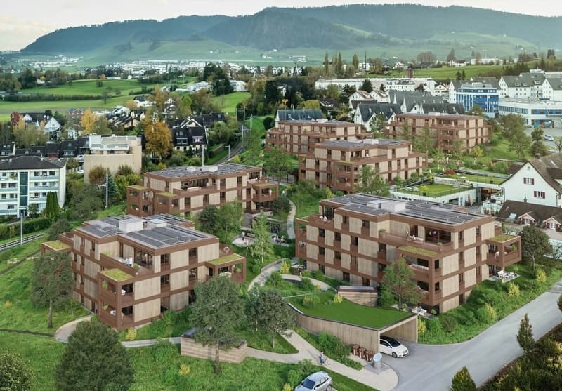 Nachmieter gesucht für helle grosse Wohnung mit See- und Bergsicht (5)