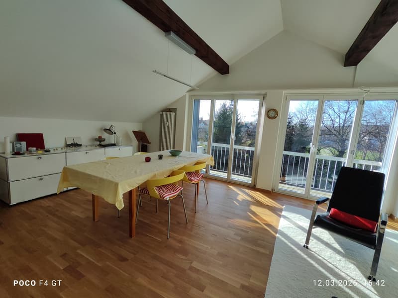 Appartamento mansardato 2 locali moderno in zona tranquilla (2)