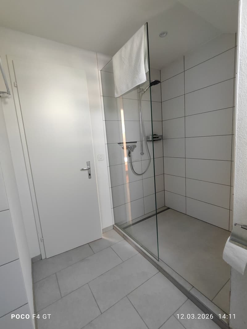 Appartamento mansardato 2 locali moderno in zona tranquilla (6)