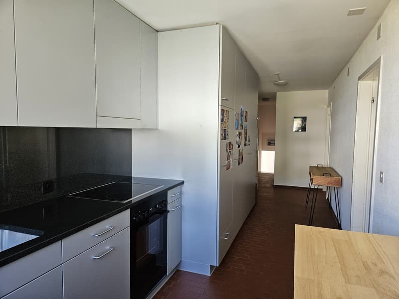 Maisonette lumineuse de 5,5 pièces avec vue sur le lac (4)