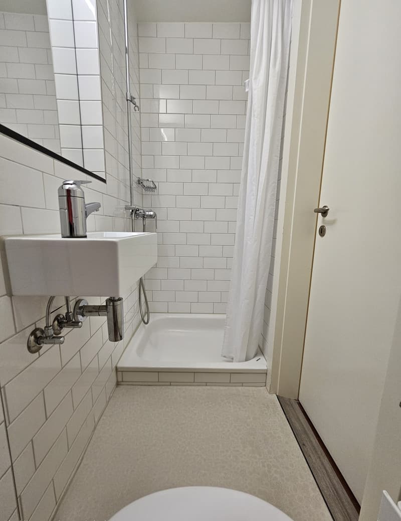 Maisonette lumineuse de 5,5 pièces avec vue sur le lac (5)
