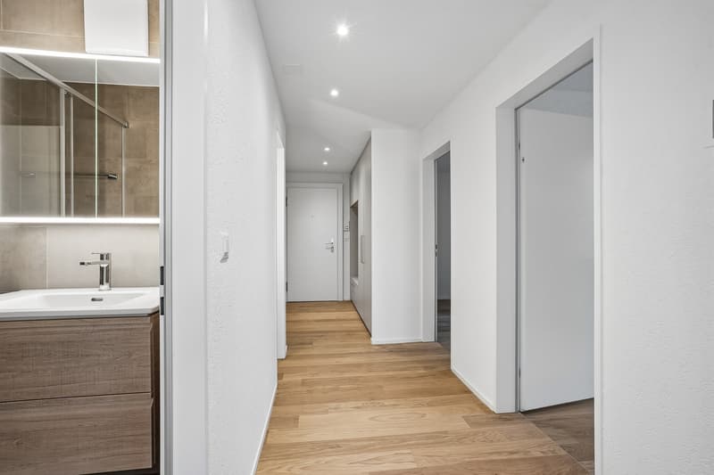 Premier occupant : Appartement de 4,5 pièces élégant à Adliswil (3)