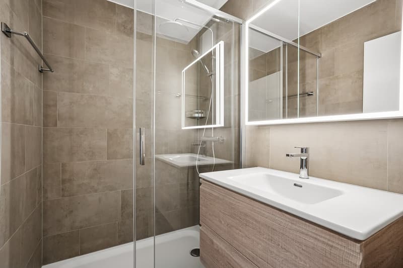 Premier occupant : Appartement de 4,5 pièces élégant à Adliswil (9)