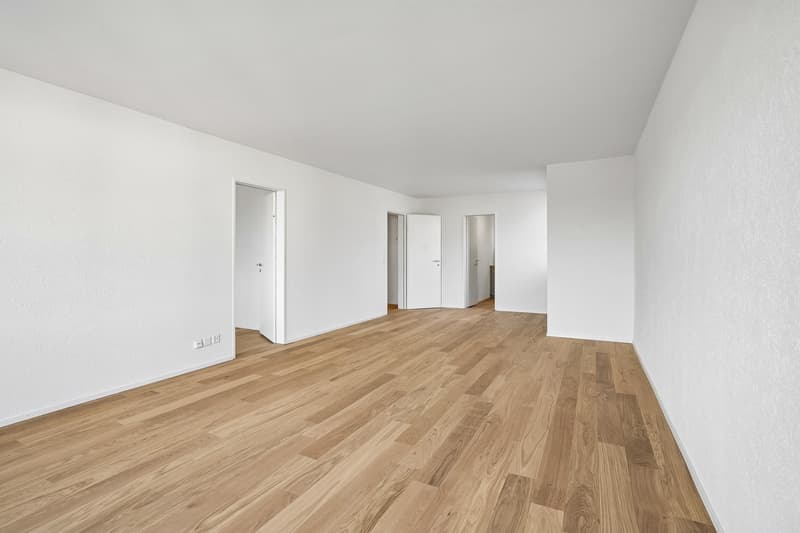 Premier occupant : Appartement de 4,5 pièces élégant à Adliswil (2)