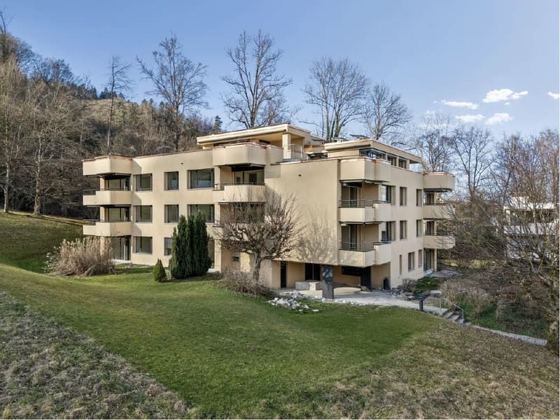 Premier occupant : Appartement de 4,5 pièces élégant à Adliswil (1)