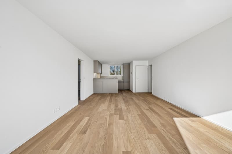 Exklusive 5.5-Zimmer-Wohnung Erstbezug in Adliswil (4)