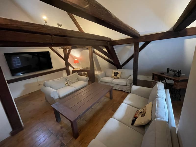 Appartamento arredato di lusso in casa storica - Küsnacht - 1 minuto dal lago di Zurigo | 5 stanze (1)