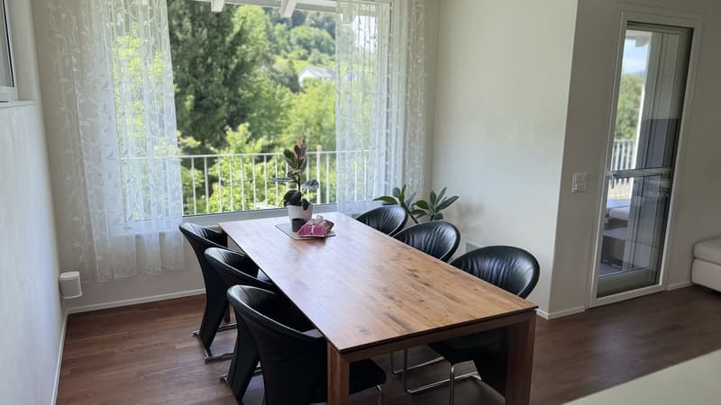 Exklusives möbliertes 8.5-Zimmer Einfamilienhaus mit Garten und Doppelgarage (4)