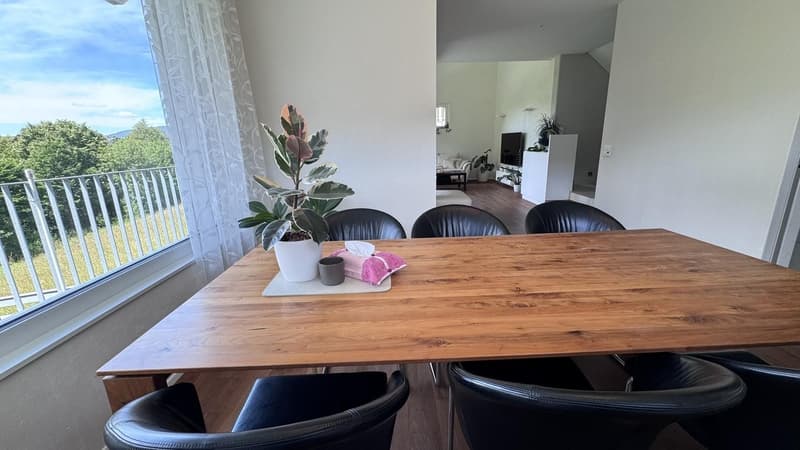 Exklusives möbliertes 8.5-Zimmer Einfamilienhaus mit Garten und Doppelgarage (3)