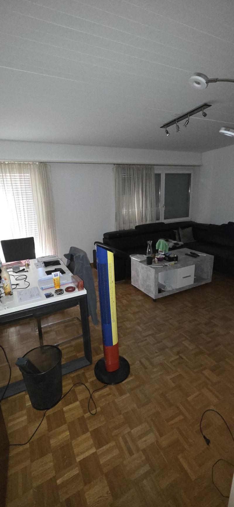 Cozy 4-room apartment in Thürnen (1)