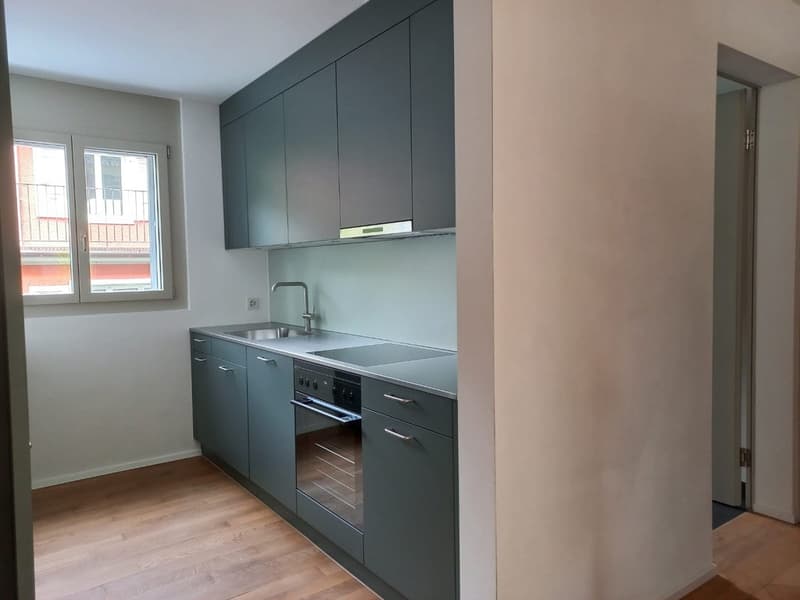 2.5 Room Apartment, 6006 Lucerne (6)