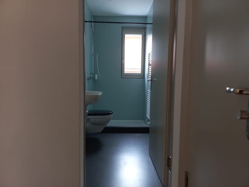 2.5 Room Apartment, 6006 Lucerne (11)