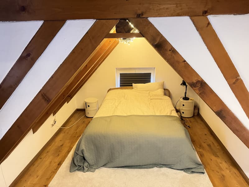 Charmantes 70m2 Apartment in Zürich 8006 (7)