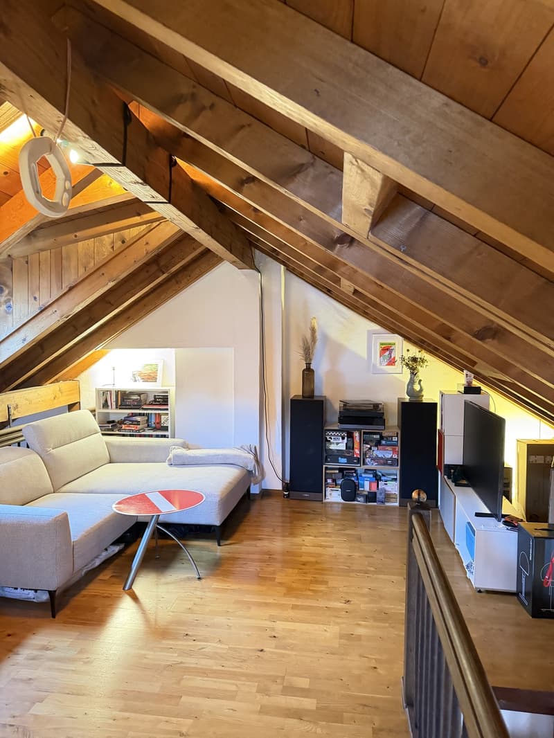 Charmantes 70m2 Apartment in Zürich 8006 (3)