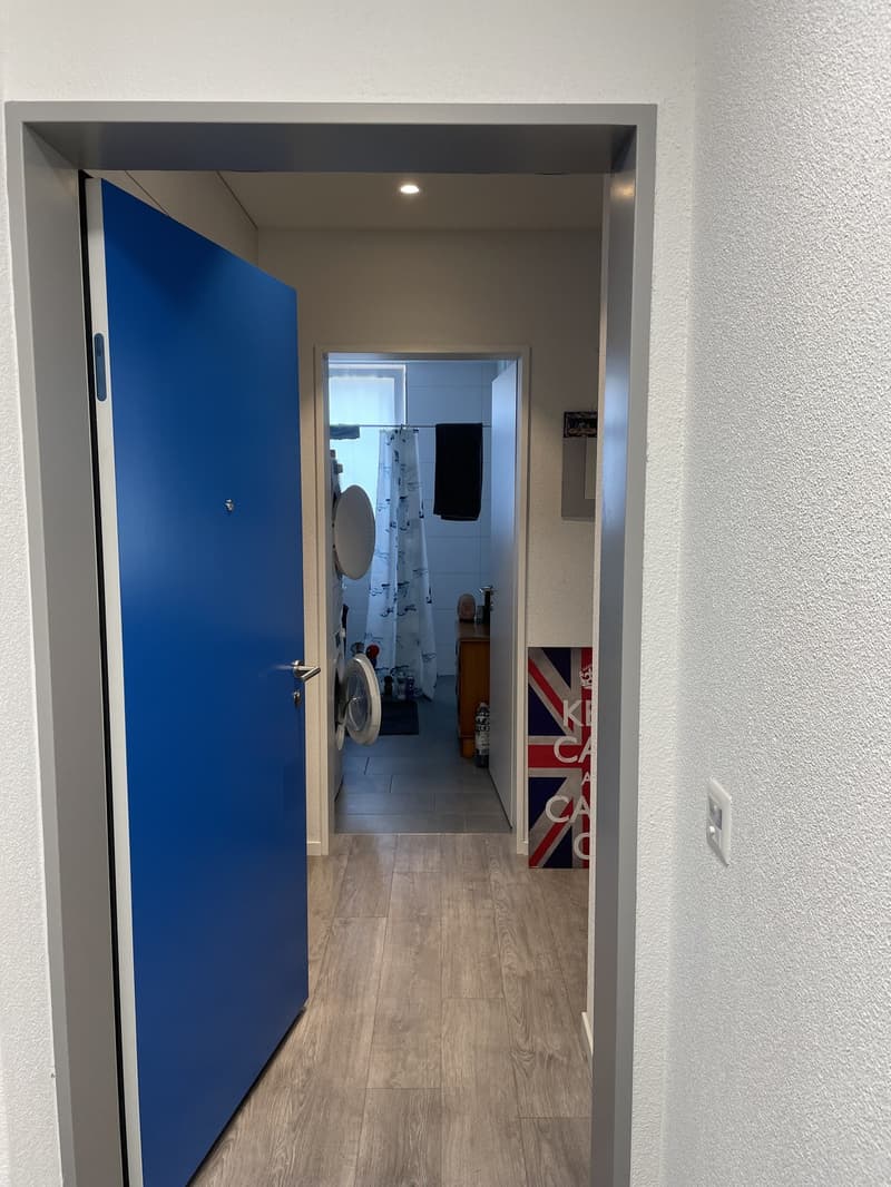1.5 room apartment in Schwerzenbach (2)