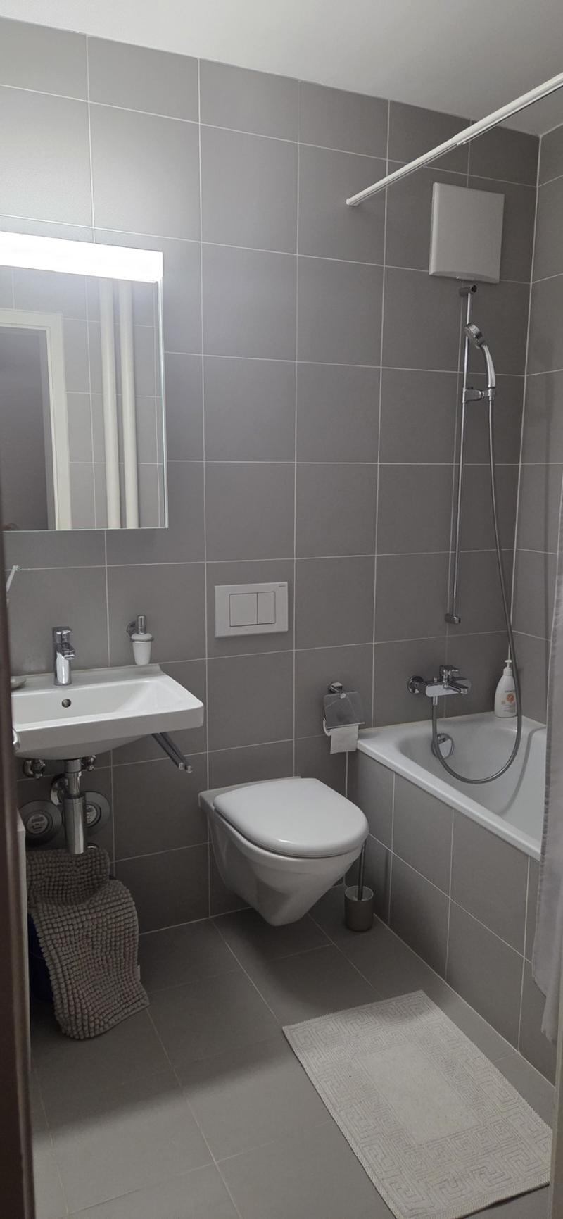 Helle und gemütliche 2-Zimmer-Wohnung mit zwei Balkonen in Basel (5)