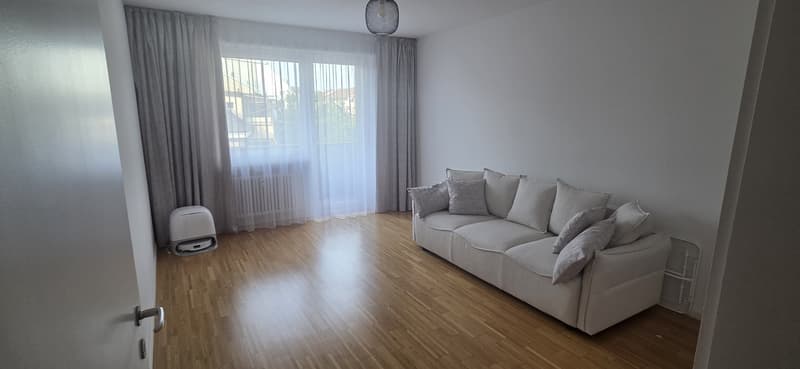 Helle und gemütliche 2-Zimmer-Wohnung mit zwei Balkonen in Basel (1)