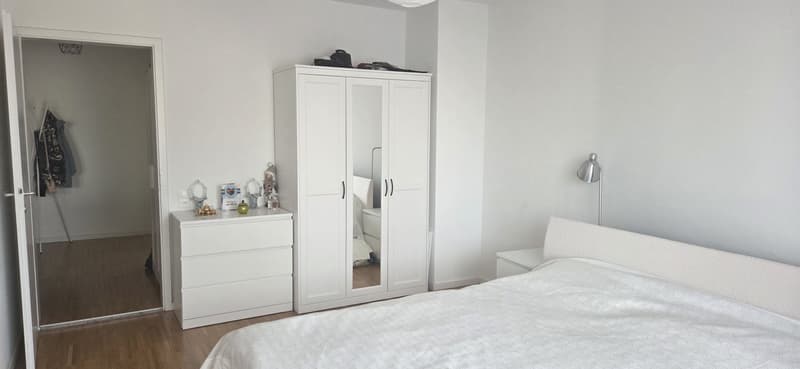 Helle und gemütliche 2-Zimmer-Wohnung mit zwei Balkonen in Basel (3)