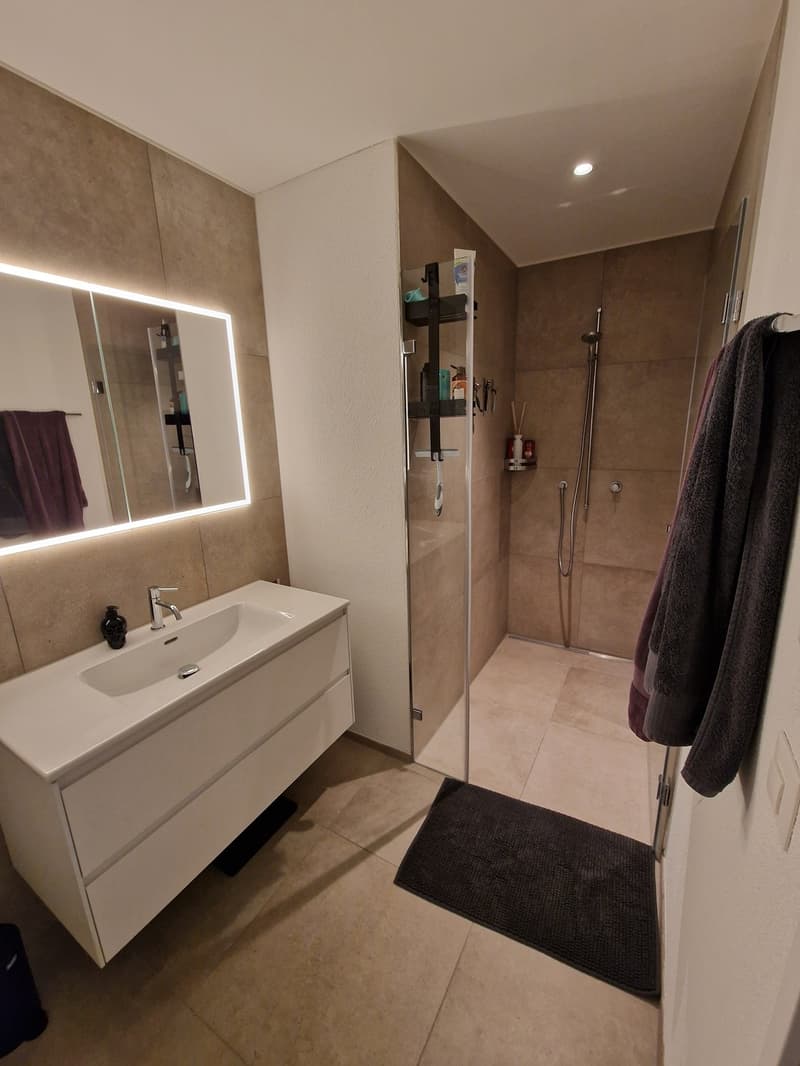 Modern 4.4 room apartment in Wohlen (7)