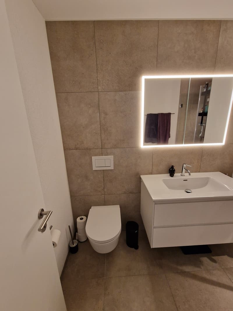Modern 4.4 room apartment in Wohlen (6)