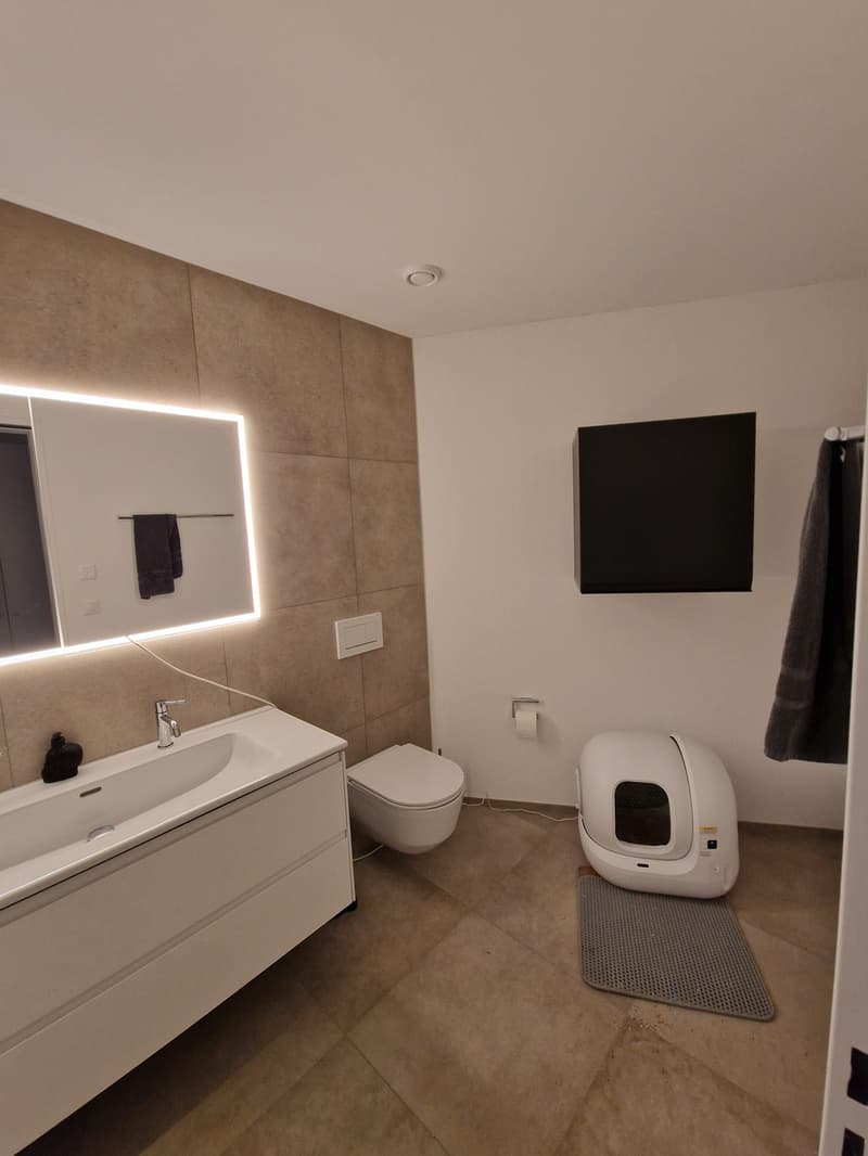 Modern 4.4 room apartment in Wohlen (5)